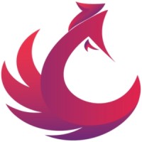 Cyfotok Networks logo - Similar company to Cyber Virtuous