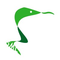 Suomen Medisiinariliitto