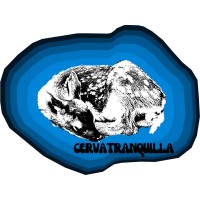 CervaTranquilla logo - Similar company to Groovy Cheech™