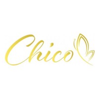 accesorries chico logo - Similar company to Modernteks