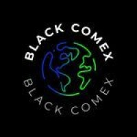 Blackcomex Logística Integrada Ltda logo - Similar company to Rgl Logística