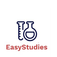 EasyStudies logo - Similar company to Easystudies.Io