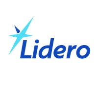 Lidero Consulting logo - Similar company to Scale Up Perú