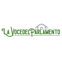 LaVoceDelParlamento.it logo - Similar company to Devrooms