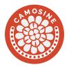 CAMOSINE logo - Similar company to Atelier Du Soleil