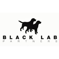 Black Lab Partners Limited logo - Similar company to Purearth Evolution Ltd