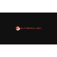 Synergy SD logo - Similar company to Ragworks Ai