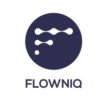 FLOWNIQ logo - Similar company to Split Tech-Solutions Gmbh