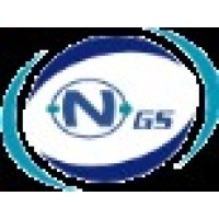 Next Generation Systems Nigeria Limited logo - Similar company to Leposavas Proptech Ltd