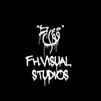 FH.VISUAL STUDIOS logo - Similar company to Purple Cacti