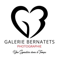 Galerie Bernatets logo - Similar company to Actionco