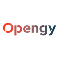 Opengy logo - Similar company to Blacksalt Asset Management