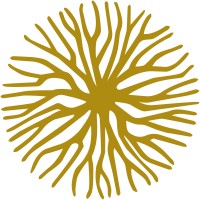 Stammkraft GmbH logo - Similar company to Siworks Services