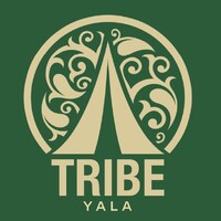 Tribe Yala logo - Similar company to Carbon Blueprint