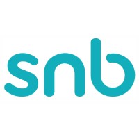SNB logo - Similar company to Snb