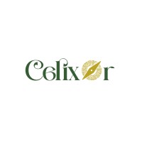 Celixor logo - Similar company to Tripbizz