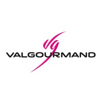 VALGOURMAND logo - Similar company to Satyva