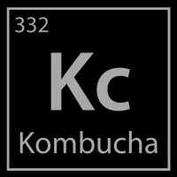 Kombucha City logo - Similar company to Bravía Kombucha