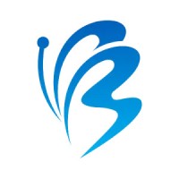 Bluemorpho Learning Solutions Pvt. Ltd. logo - Similar company to Dpdp Consultants