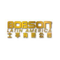 Bobson Latin America logo - Similar company to Alex Douglas