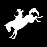 Cowboy Studios (OPC) Pvt Ltd logo - Similar company to Studio Rift