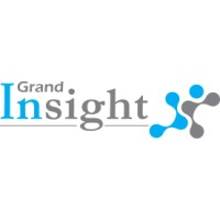 Grand Insight logo - Similar company to Micktech
