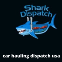 car hauling dispatch usa logo - Similar company to Edge Transportation