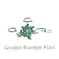 Gruppo Europeo Fiori logo - Similar company to Gruppo Rem