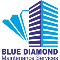 Blue Daimond IFM logo - Similar company to Bright Environment Llc
