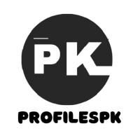 ProfilesPk logo - Similar company to Code Hype Solution