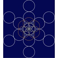 Business Evolution Program Pty Ltd logo - Similar company to Tsar Consulting Group