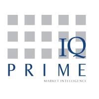 Prime IQ logo - Similar company to Prosone