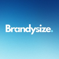 Brandysize logo - Similar company to Iscribble Solutions