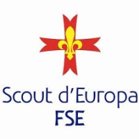 Scout d'Europa - FSE logo - Similar company to 2P Conseil