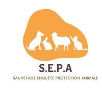 Sauvetage Enquête Protection Animale logo - Similar company to Guard'S Conseil Formation