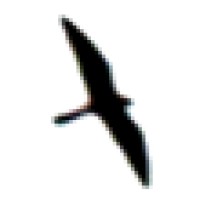 Books and Tours by Stephen Wendell logo - Similar company to Malmé Paris