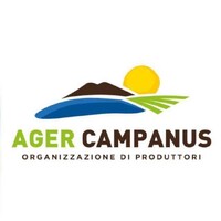 O.P. Ager Campanus logo - Similar company to Elpral