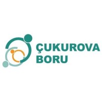 ÇUKUROVA DEMİR ÇELİK VE BORU SAN. TİC. A.Ş. logo - Similar company to Mantalive