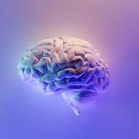 Interactive Intelligence