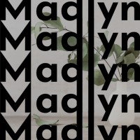 Madlyn Export logo - Similar company to Vr360