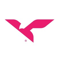 Virtual Plan logo - Similar company to Pumpkinu