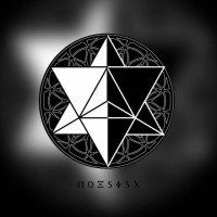 NOESISX LIMITED
