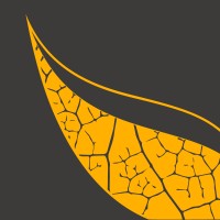LeafyCode International logo - Similar company to Thinksmart Solutions  (Pvt)  Ltd