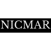 NICMAR Group logo - Similar company to Vayati Systems And Research Inc.