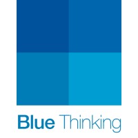 Blue Thinking logo - Similar company to Blue Think Group