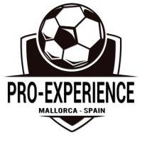 Pro-Experience Spain Academy logo - Similar company to Cd Llosetense