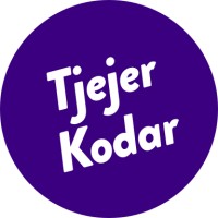 Tjejer kodar logo - Similar company to Pink Programming