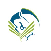 Viszen Security logo - Similar company to Techstrong Tv