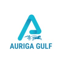 Auriga Gulf FZE logo - Similar company to Broadvision (Management & Tax Consultants)