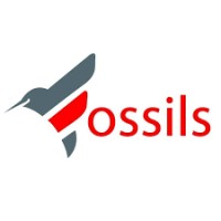 Fossils logo - Similar company to Faz Technology